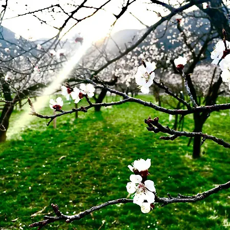 Weinblick 3* Rohrendorf bei Krems