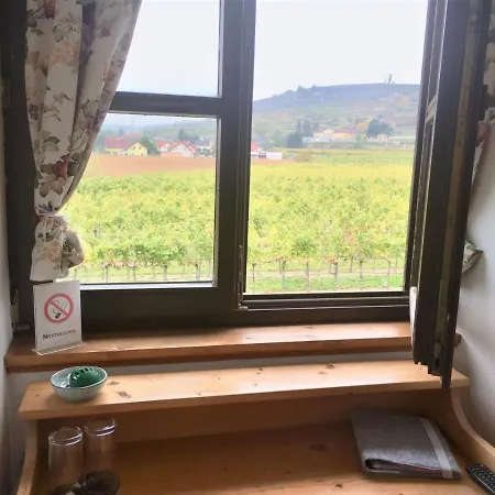 Guest house Weinblick