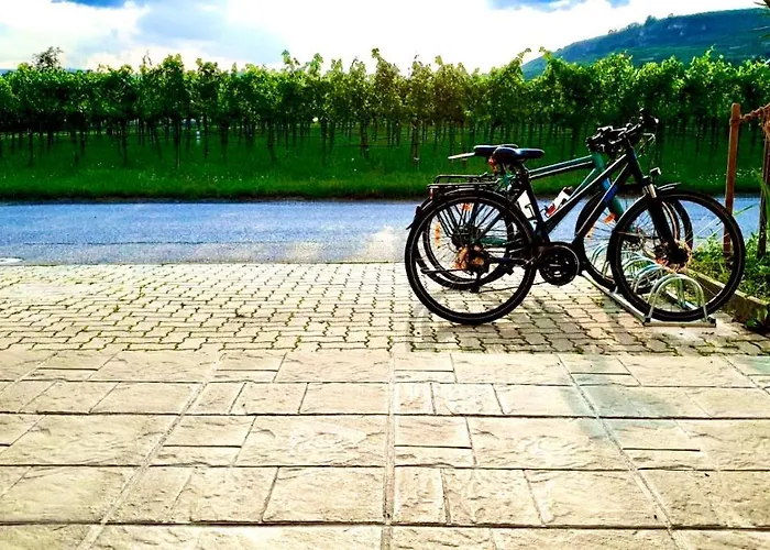 بيت ضيافة Weinblick