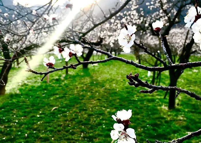 Weinblick 3* Rohrendorf bei Krems