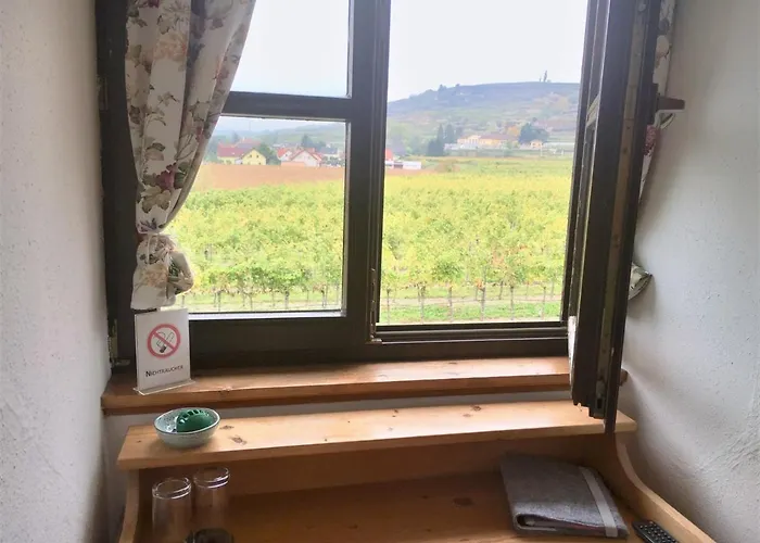 بيت ضيافة Weinblick